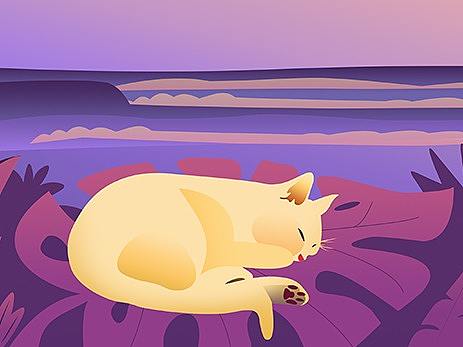 做我的猫