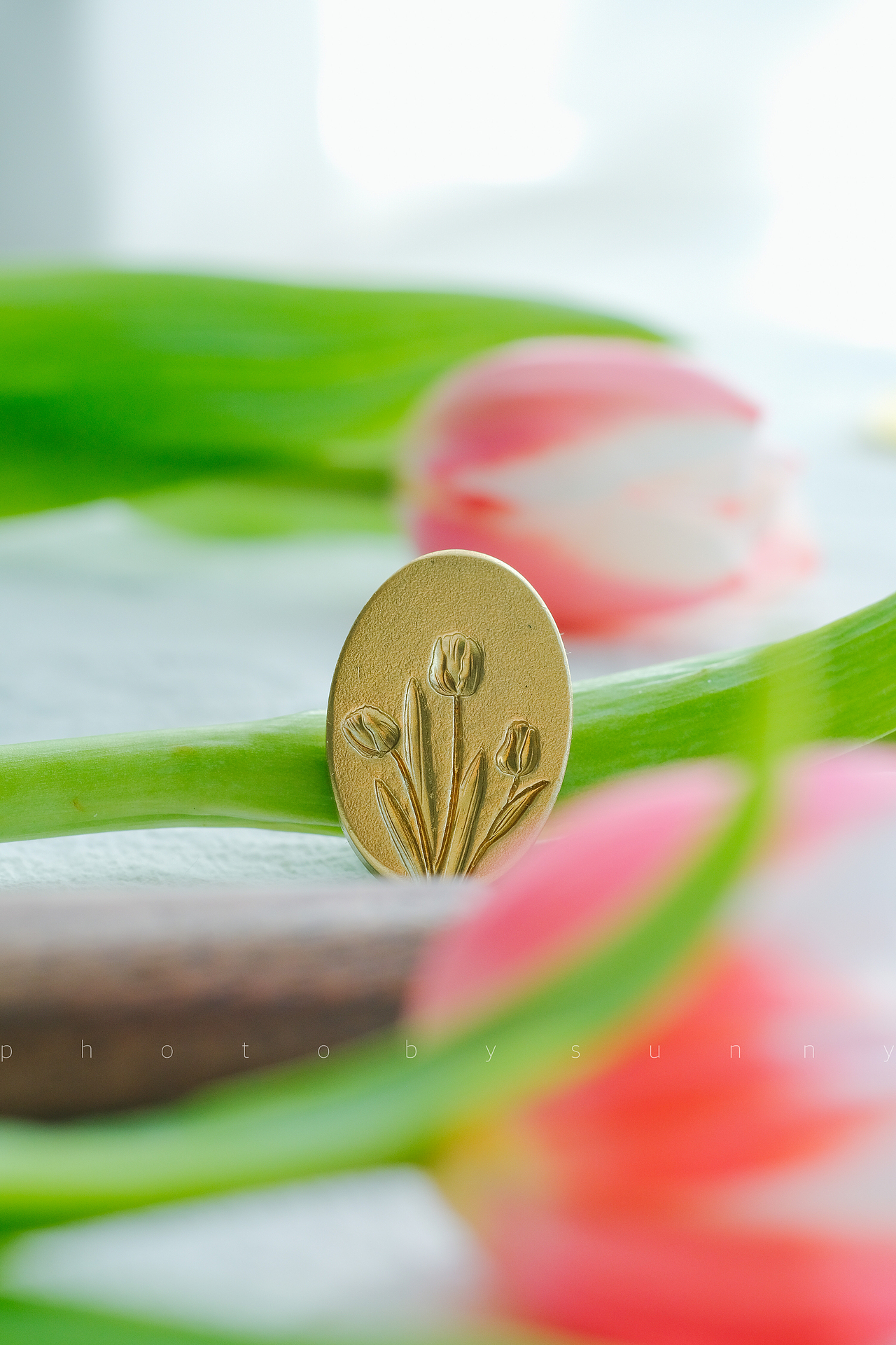 植物｜郁金香（图ZMzM0NTczODc2） - 时尚/艺术摄影 - 站酷设计师萨妮灰原创素材 - 站酷ZCOOL