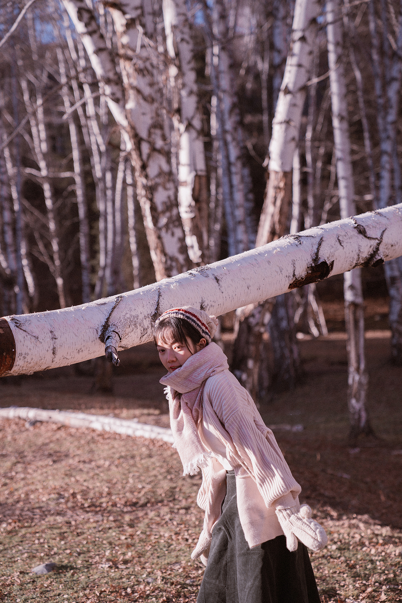 白桦林（和自己有关的故事）