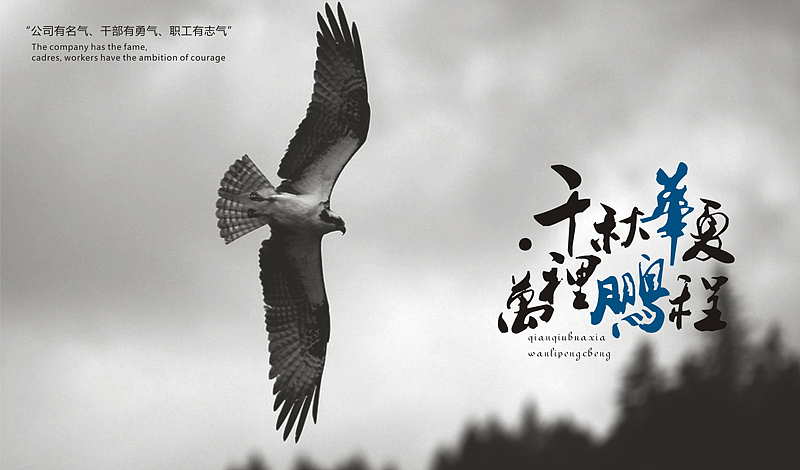 一些品牌LOGO提案——余尤勇