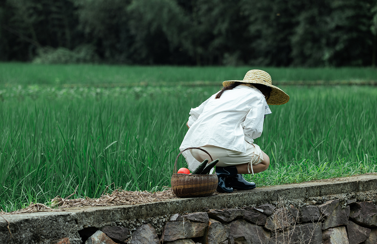 情绪写真 |夏与森