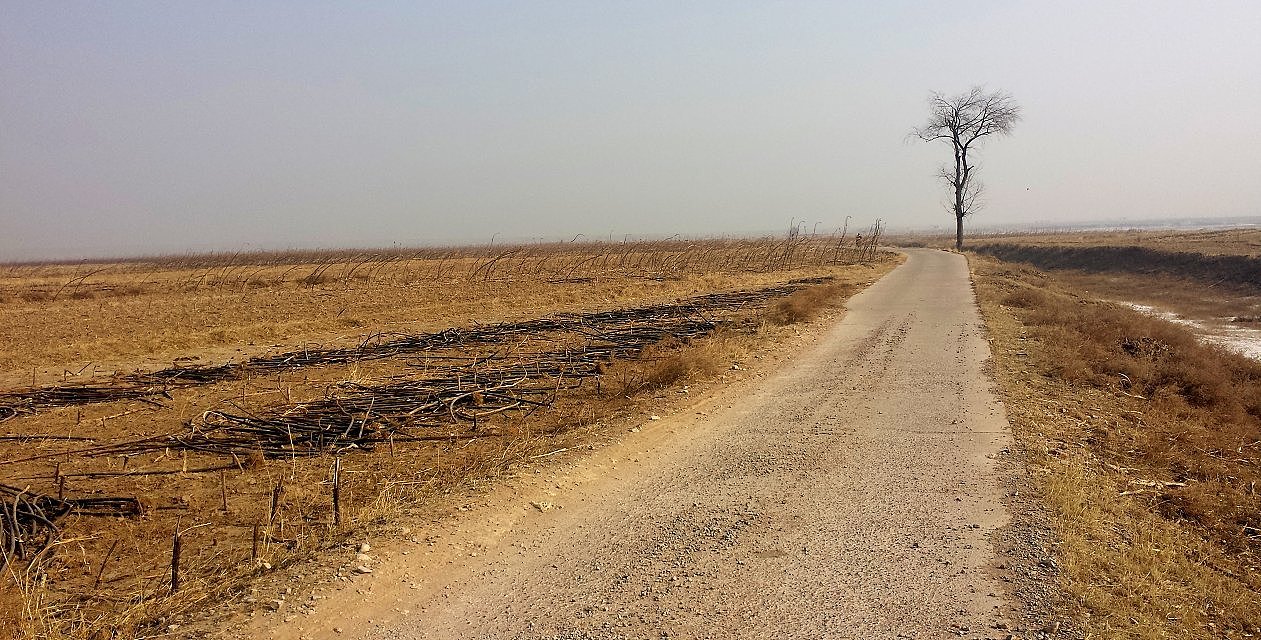 手机拍拍（图ZMTQwMDI3NzI=） - 风光摄影 - 站酷设计师牛妞原创素材 - 站酷ZCOOL