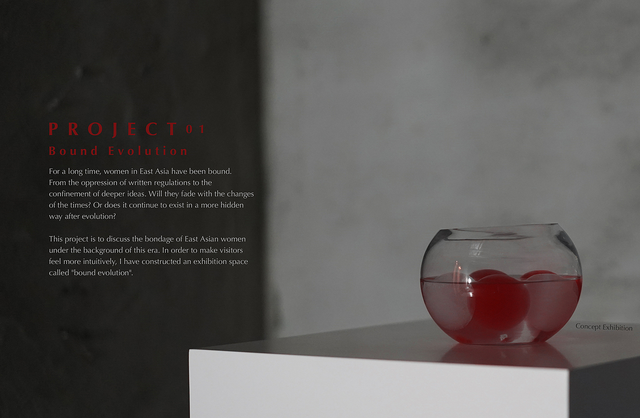 束缚的进化 Bound Evolution