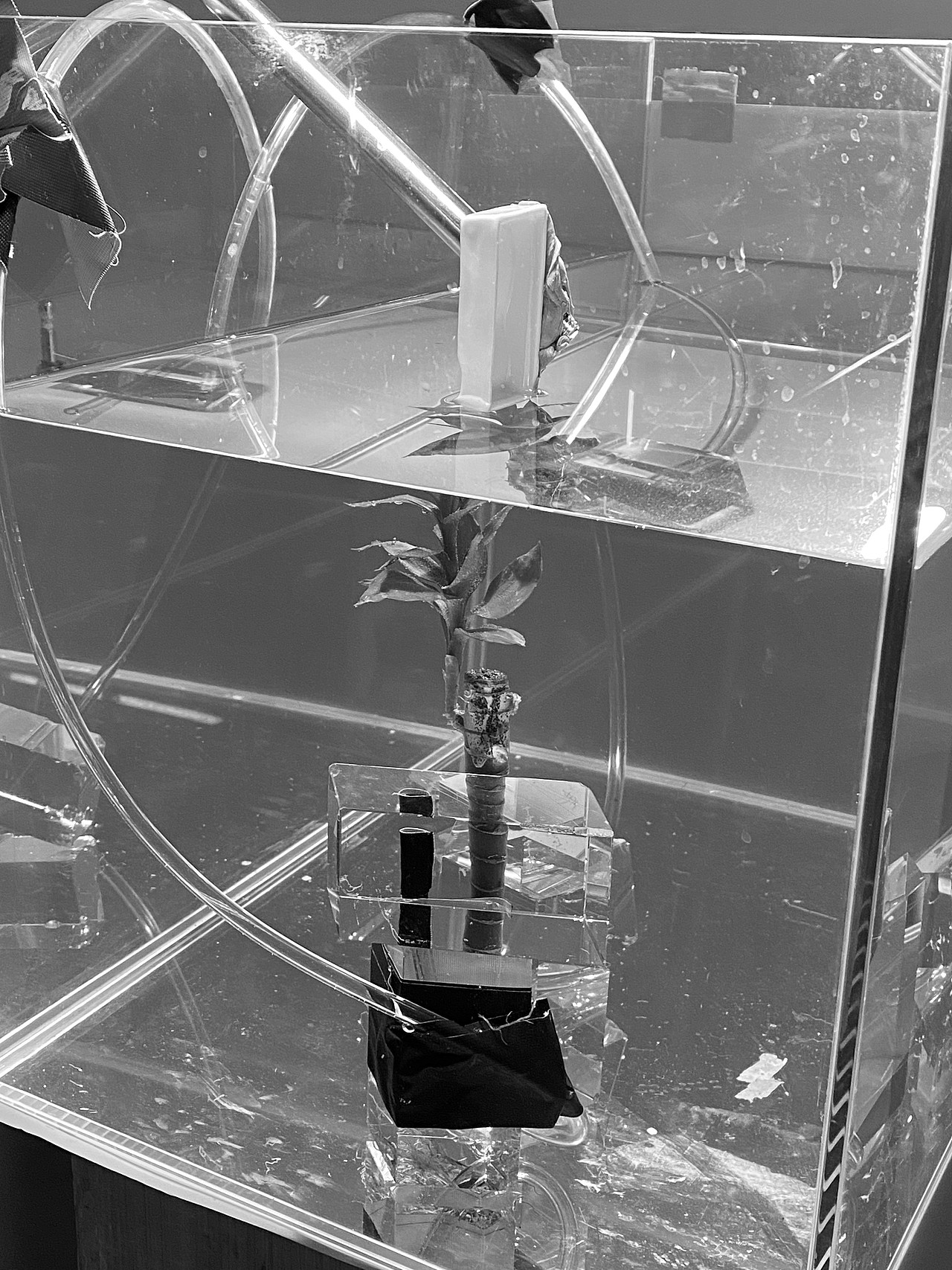 Ciracle｜稀拉克儿茶树控油洁肤乳（图ZMjgyMjM5NTEy） - 产品摄影 - 站酷设计师愚人斌原创素材 - 站酷ZCOOL