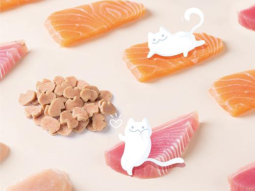 猫三饼 | 宠物食品拍摄