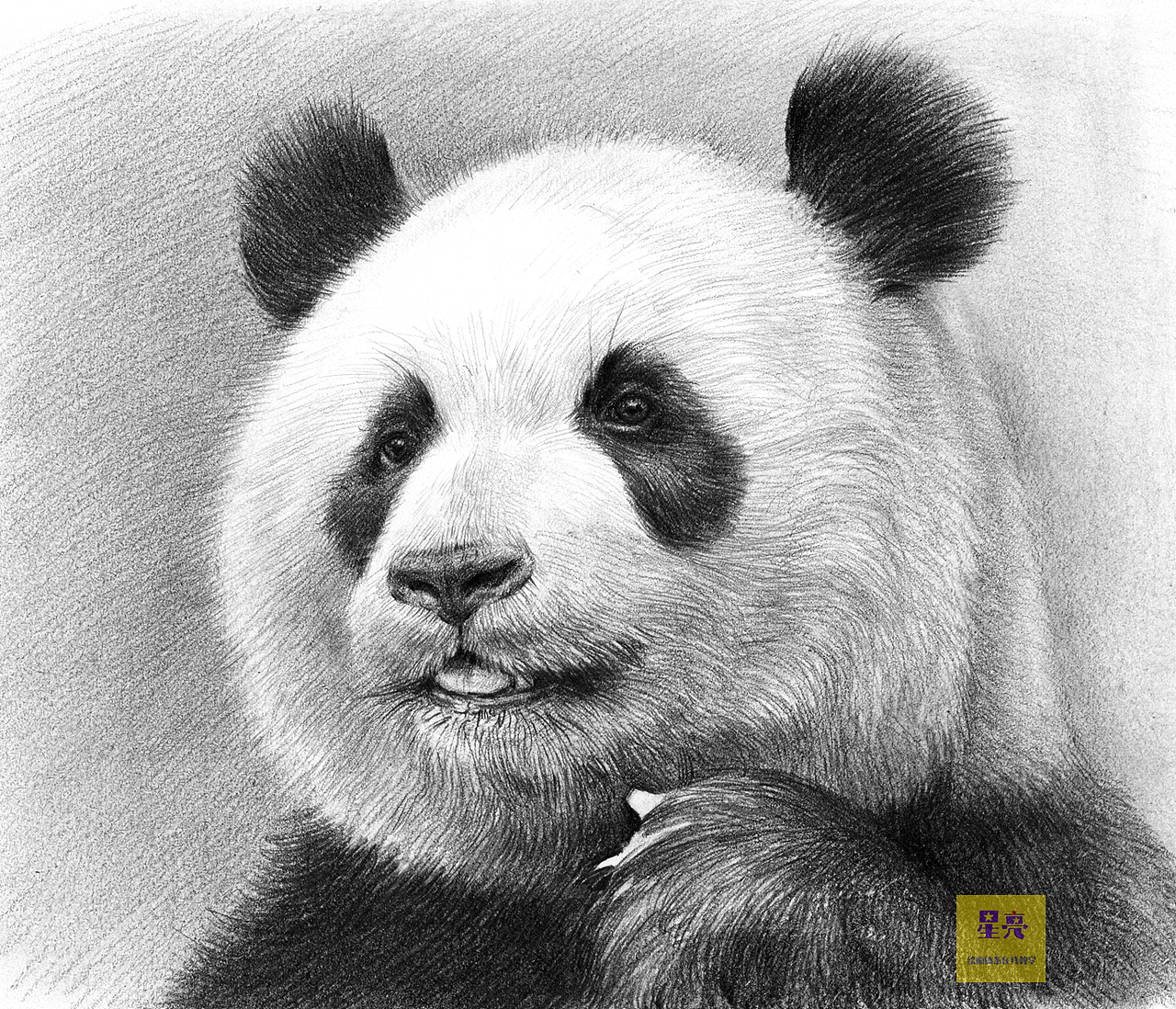 几张动物素描插画作品