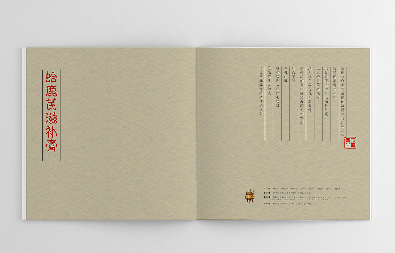 中医药产品宣传画册设计
