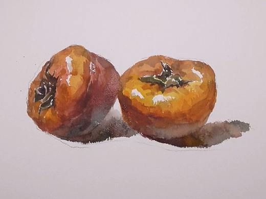 水彩绘画（两颗柿子）