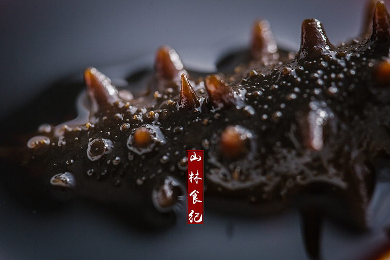 海参为礼 一爿赤诚（图ZMTIyOTk5MzQ0） - 产品摄影 - 站酷设计师山林纪原创素材 - 站酷ZCOOL