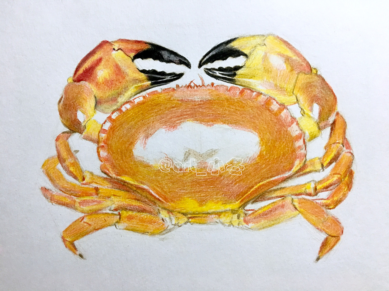 《有钳任性》（图ZNzAzMDUxNjQ=） - 绘画 - 站酷设计师art_小冬原创素材 - 站酷ZCOOL