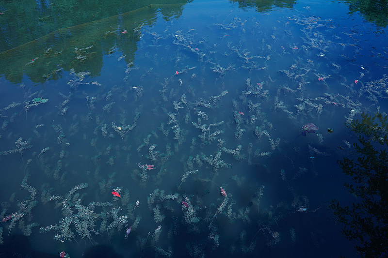 服装拍摄 | cos外拍