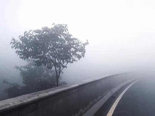 手机摄影，怎样才能拍出与众不同的画面？