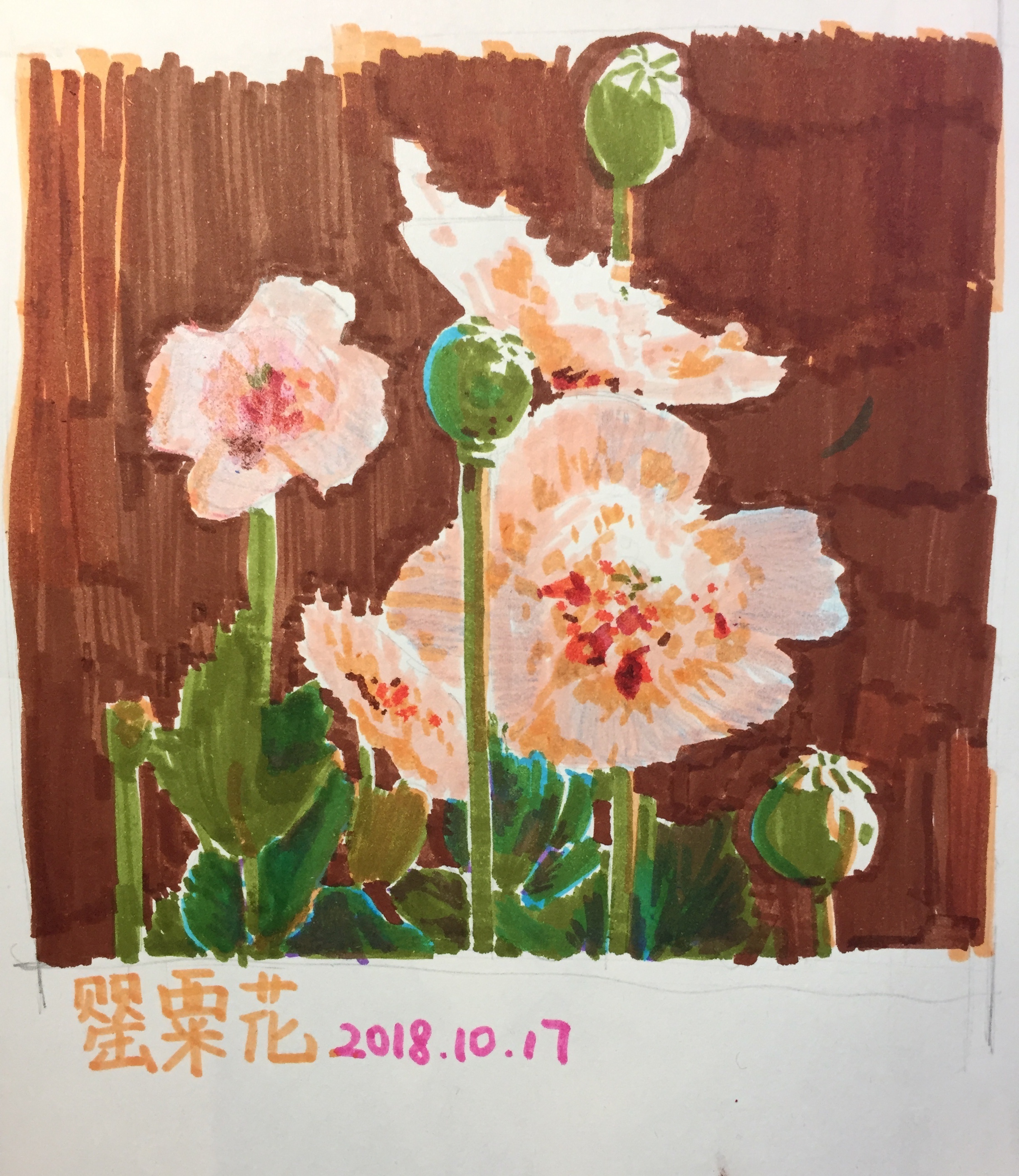 水彩笔集合1|插画|插画习作|大填 - 原创作品 - 站酷 (zcool)