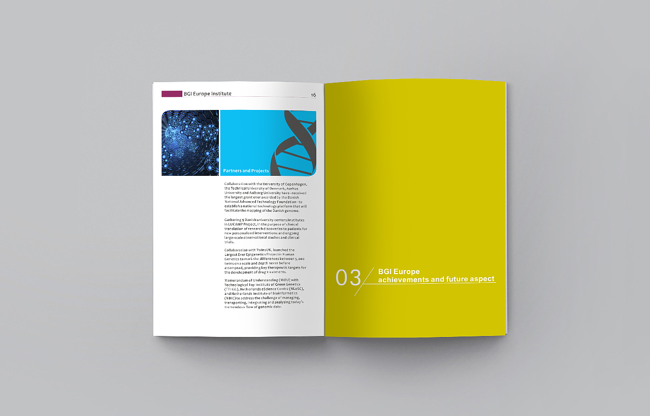 画册,英文画册,Product catalog,brochure