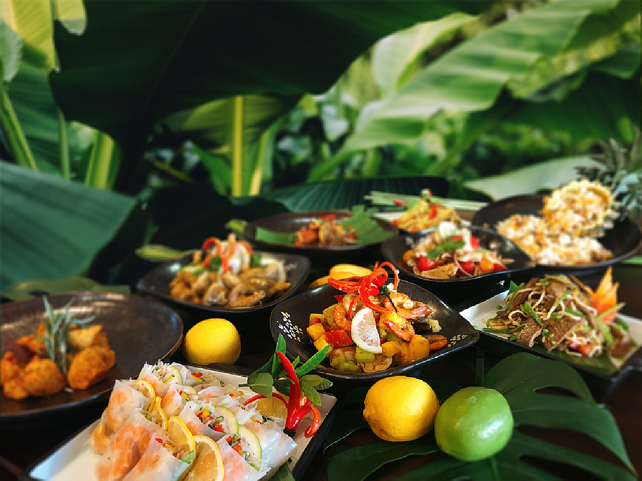 以“食”为媒，品味自贸港 海南&东盟文化美食交流季活动成功举办 - 360娱乐，你开心就好