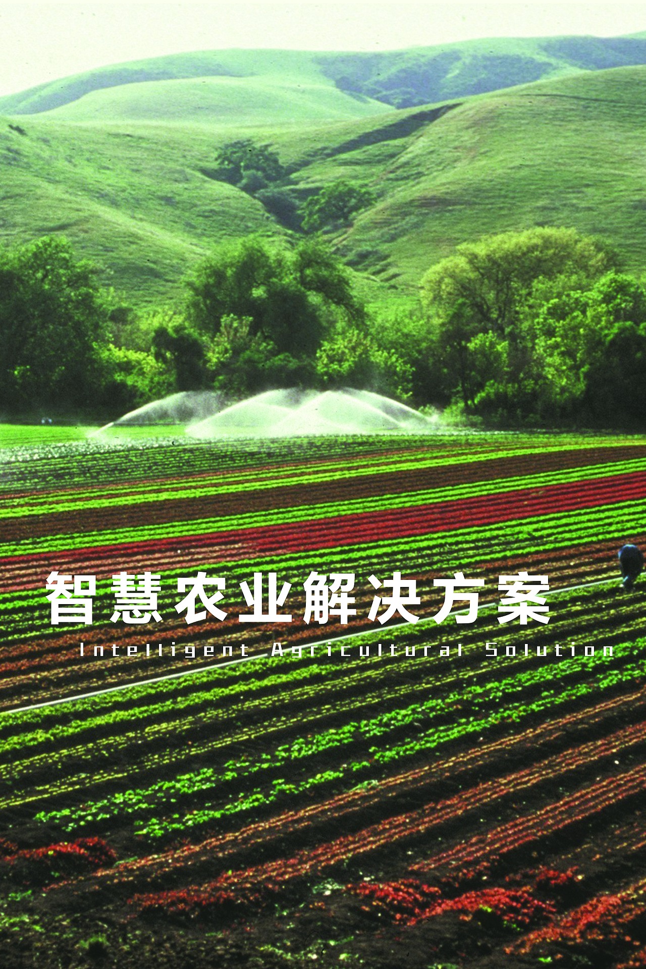 莱璟八月份深圳展会(及平面物料)