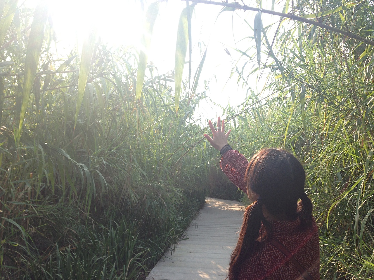 秋天的好天气~~#出发的勇气2014#