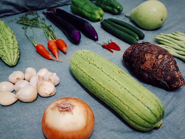 【家书】—— 记忆的纸感