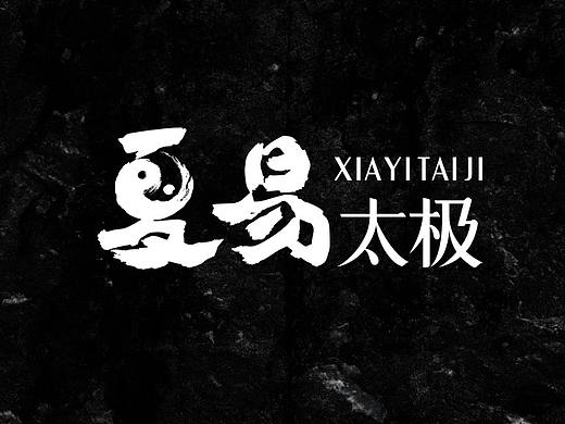 夏易太极培训机构品牌标识LOGO设计