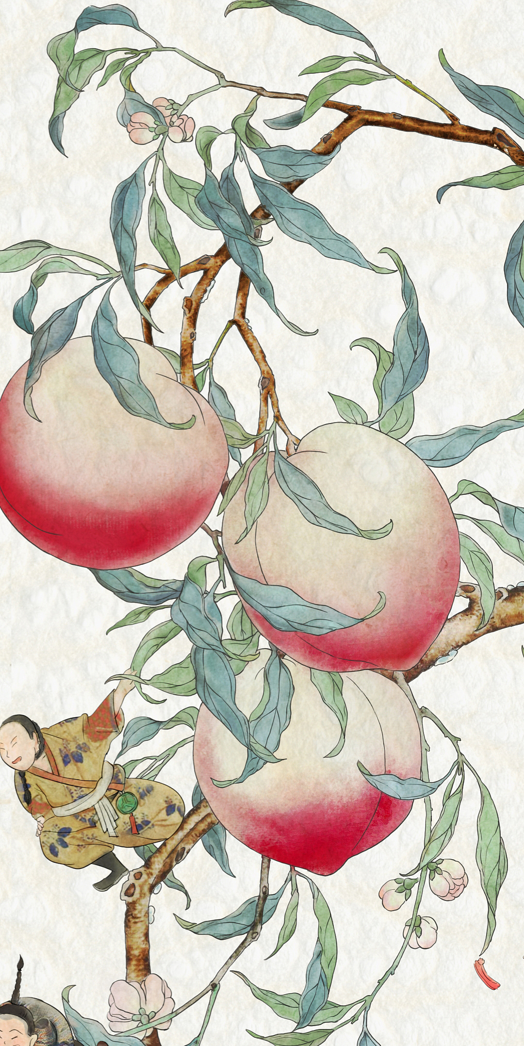 清雍正粉彩过枝福寿双全八桃五蝠大盘文创插画