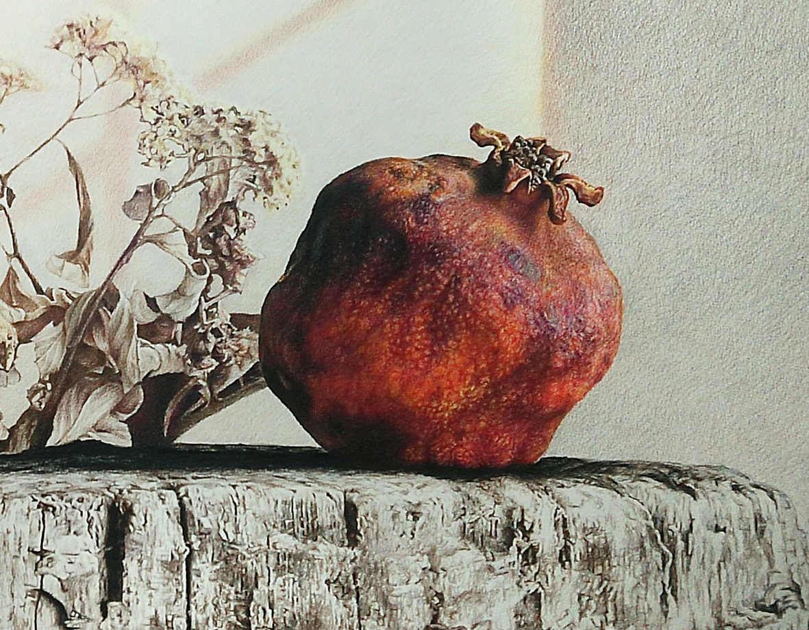 彩铅的魅力 —《静物》