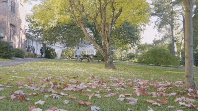 院校视频｜澳大利亚蓝山酒店管理学院本科课程（图ZMjcwNzkzNzYw） - 短片 - 站酷设计师IDLeo原创素材 - 站酷ZCOOL