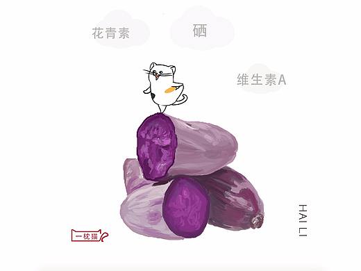 每日一枕猫/营养篇 猫 坚持