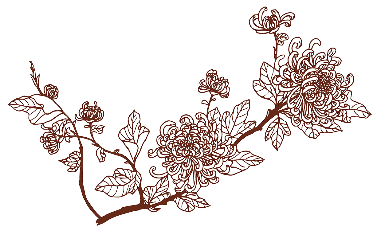 菊花花茶装潢图案设计
手绘线稿扫描图案