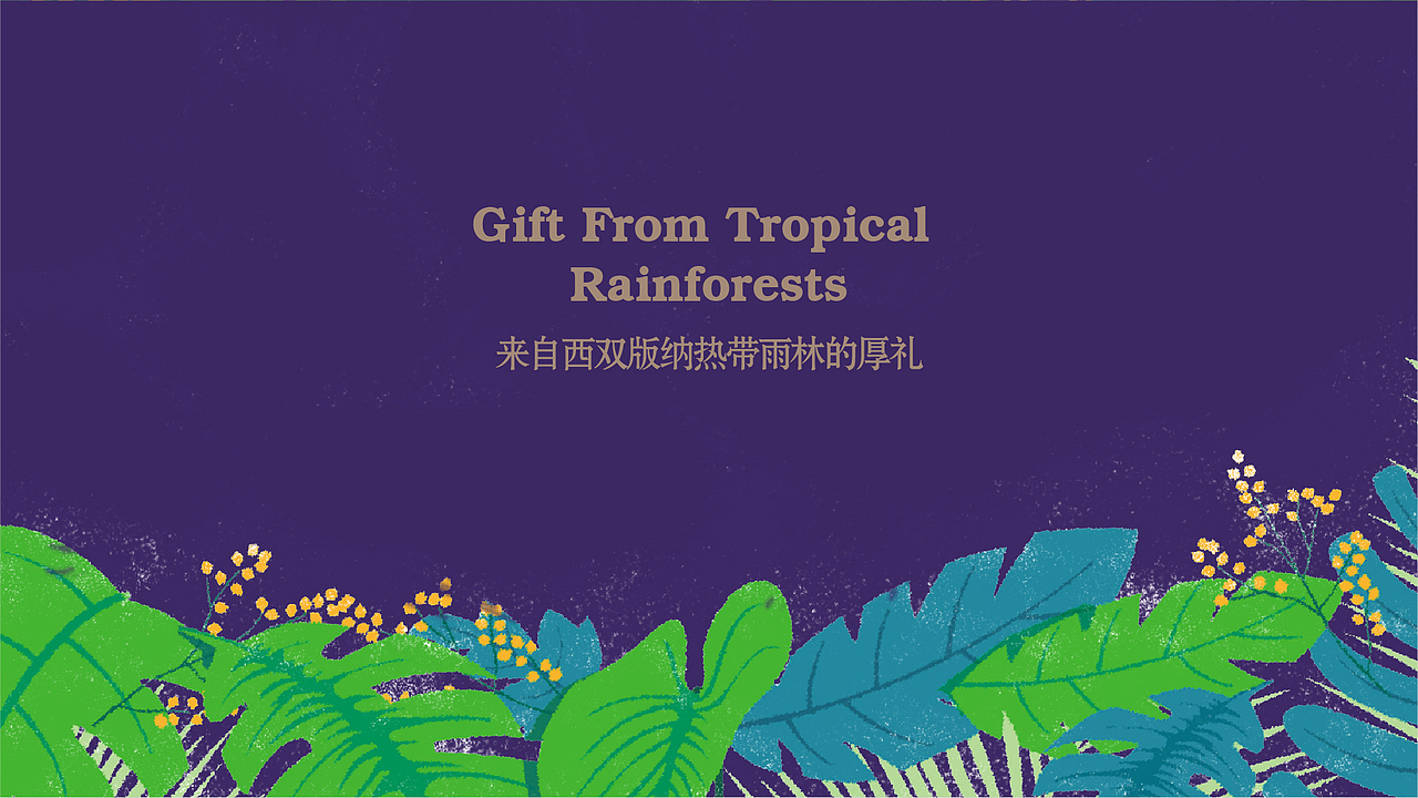 雨林嘉品（图ZOTYwODExNjQ=） - 品牌 - 站酷设计师DAKE奇原创素材 - 站酷ZCOOL