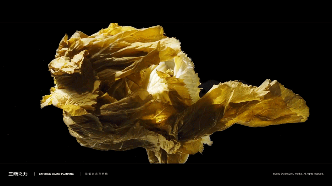 美食视频 | 三鼎之力TVC作品混剪 X SANDING