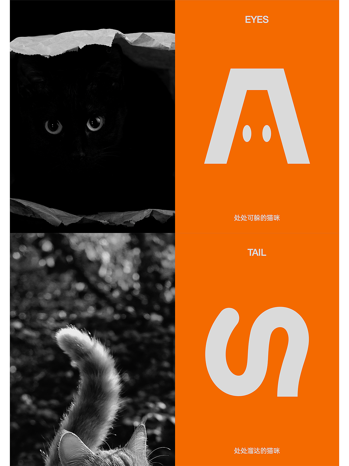 按食出动 | 猫粮品牌设计