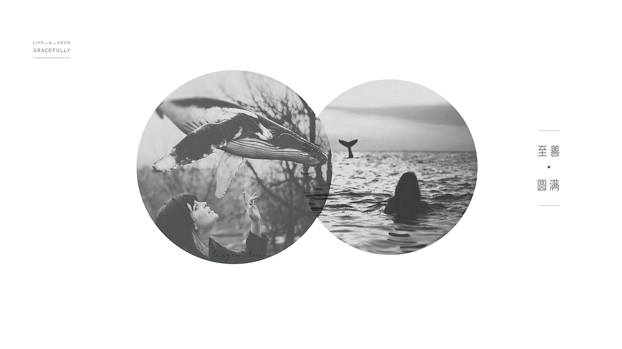 地产视觉提报（图ZMTk4MjAzNjc2） - 宣传物料 - 站酷设计师liuzundong原创素材 - 站酷ZCOOL