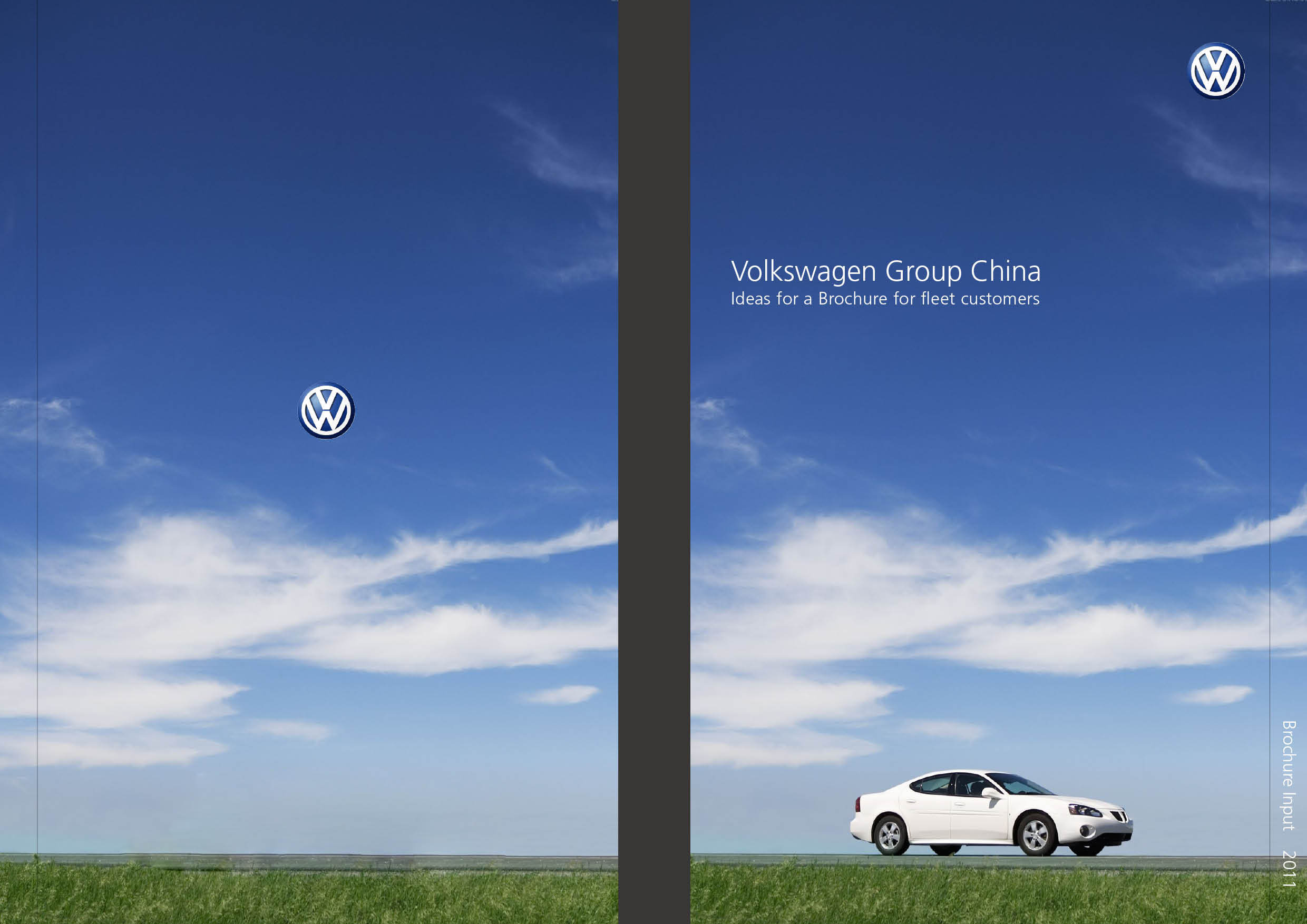 《fleet sales kits agency》大众汽车画册