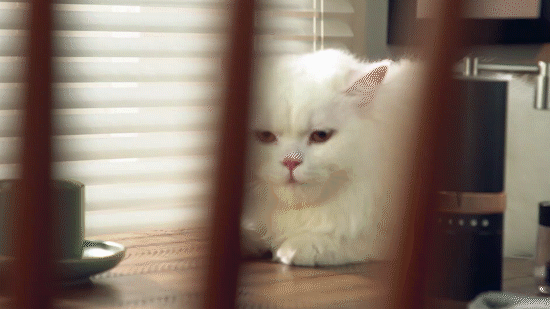 [平面+视频]手摇咖啡磨豆机摄影｜东莞锐图摄影