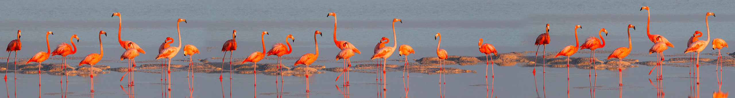 王哪跑呀2025的个人主页（封面预览） - 主页封面设置 - 站酷设计师王哪跑呀2025原创素材 - 站酷ZCOOL