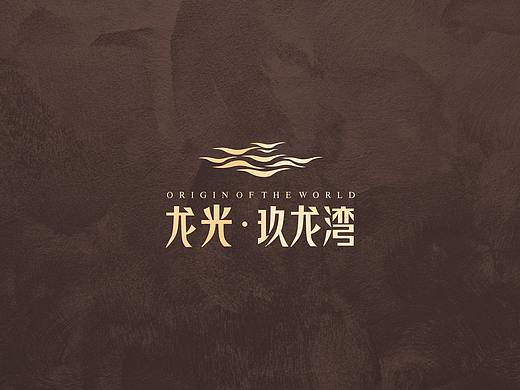 龙光 ● 玖龙湾 VI