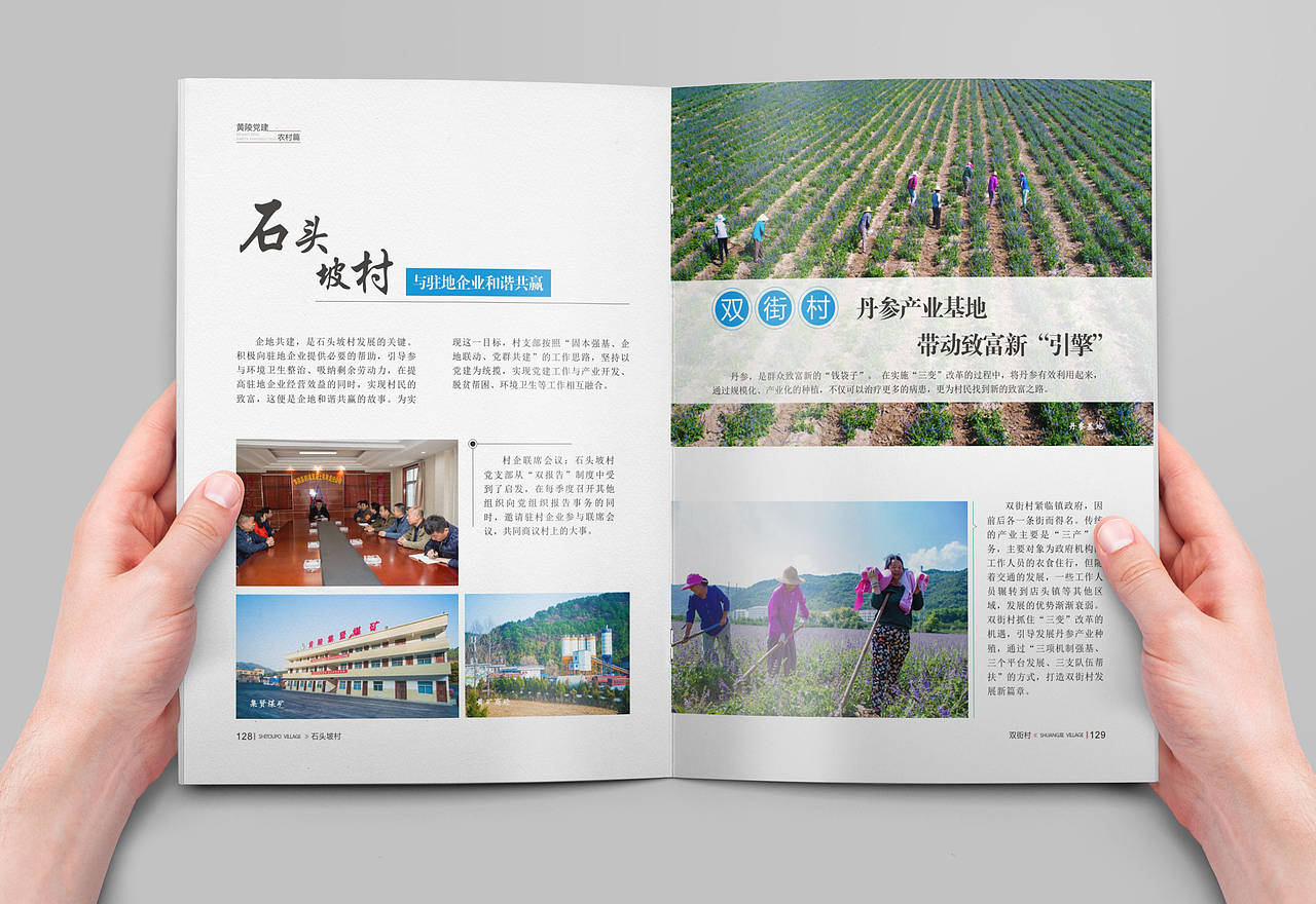 画册设计|黄陵县农村党建画册-2020