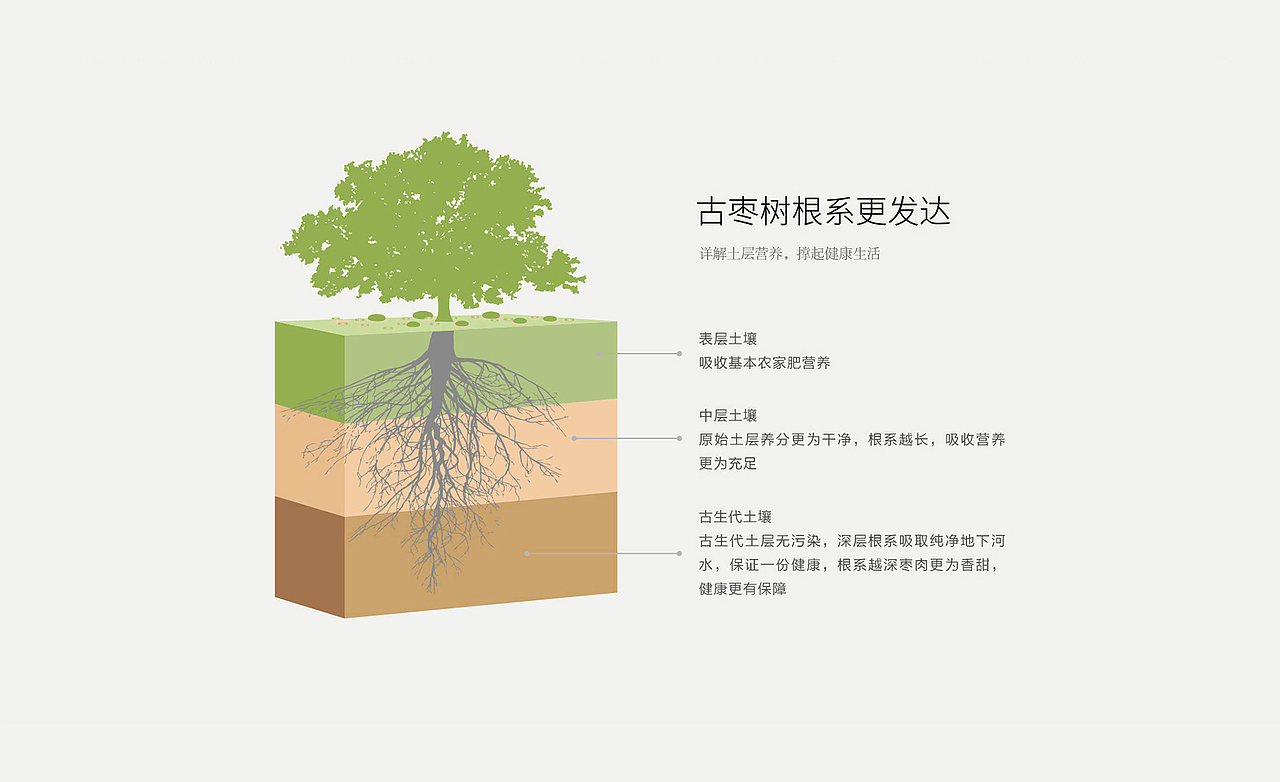 柒个果果品牌全案策划（图ZMTgzMTM5MTI4） - 品牌 - 站酷设计师山谷里原创素材 - 站酷ZCOOL