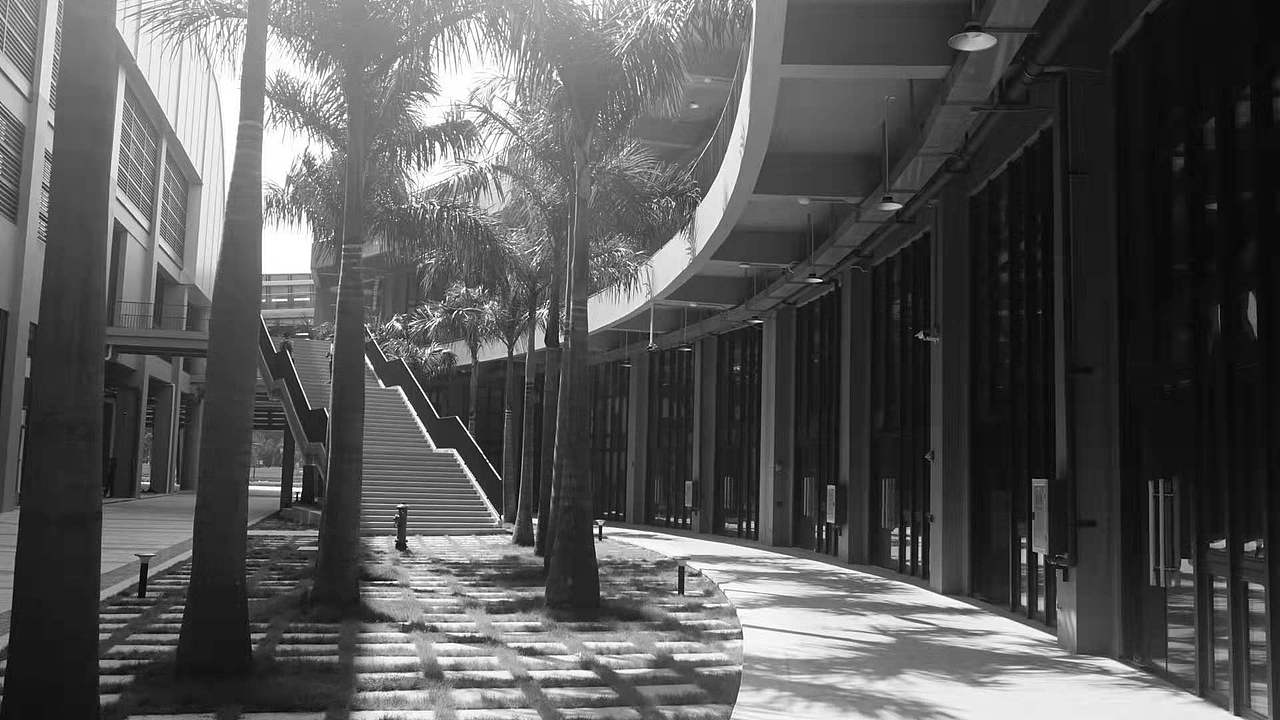 摄影（图ZMjE5MTM0OTIw） - 人文/纪实摄影 - 站酷设计师大头檬原创素材 - 站酷ZCOOL