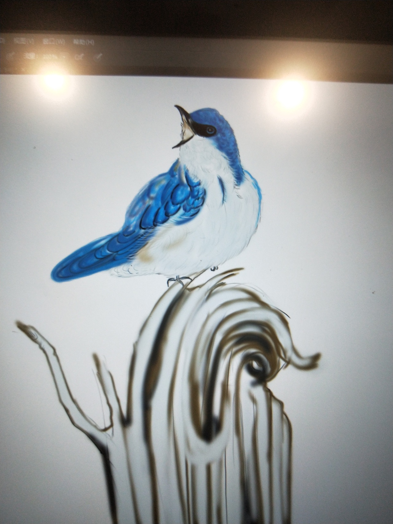 小鸟（图ZMzAyODM2ODM2） - 绘本 - 站酷设计师回过神儿来原创素材 - 站酷ZCOOL