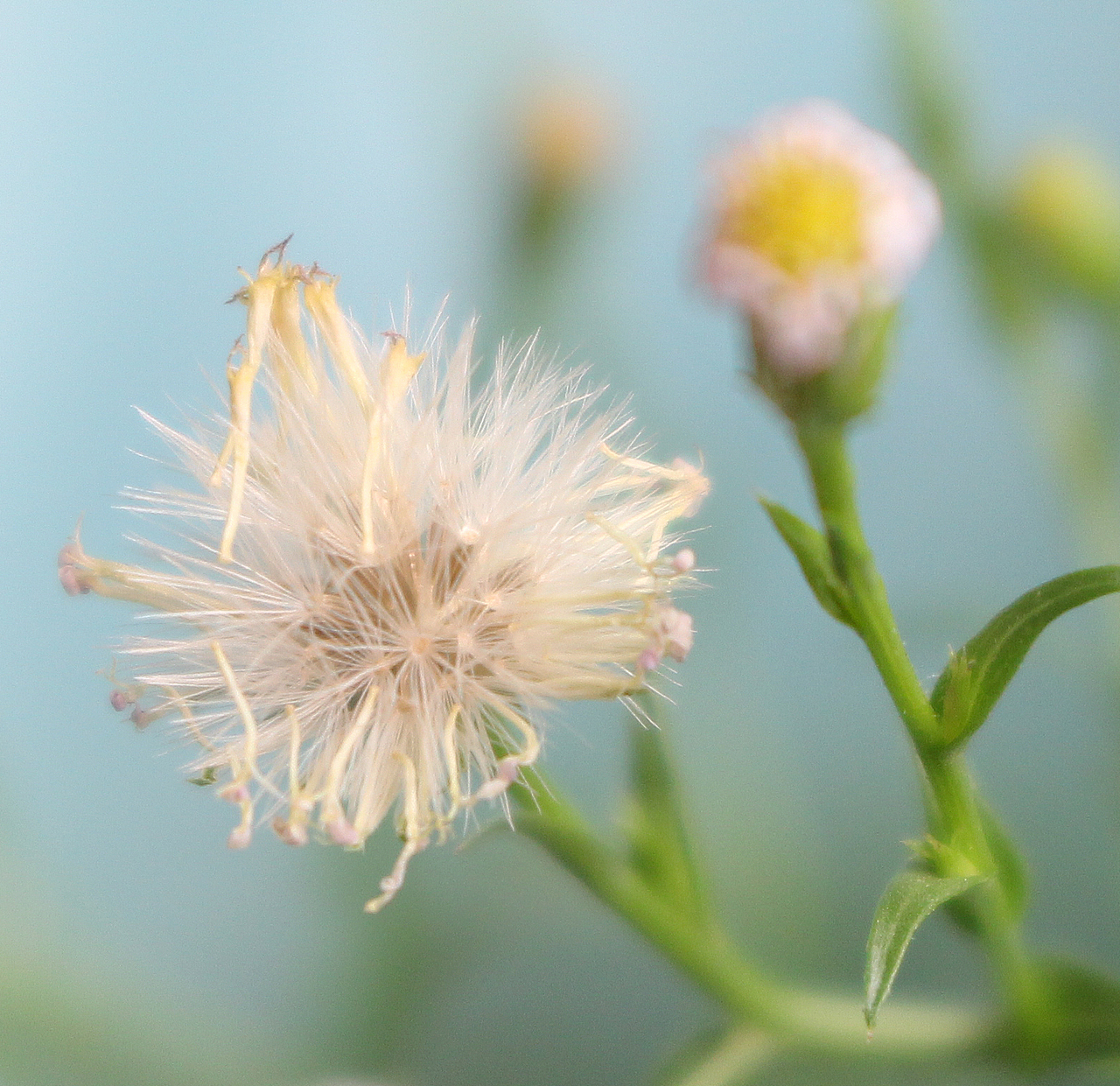 少年时,踌躇满志。