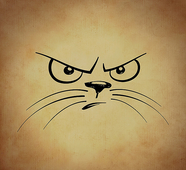 表情（图ZNzQzNTE3Njg=） - 品牌 - 站酷设计师王小花53原创素材 - 站酷ZCOOL