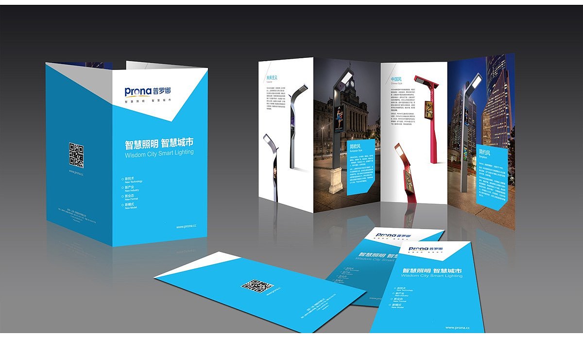 普罗娜品牌全案策划