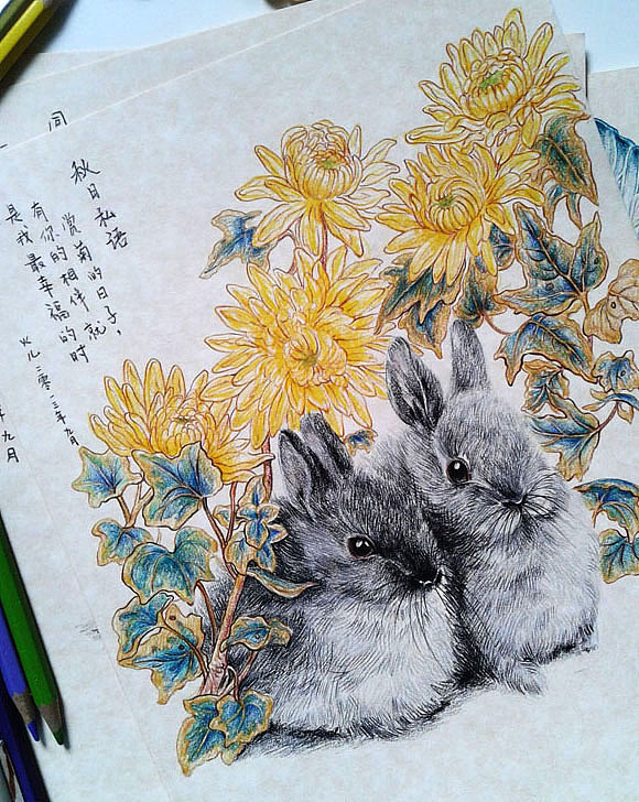 色铅绘本《有爱的兔子》