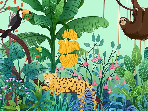 万物共生—雨林平面-海报82011年前玻璃罐子小元素插画-创作习作12001