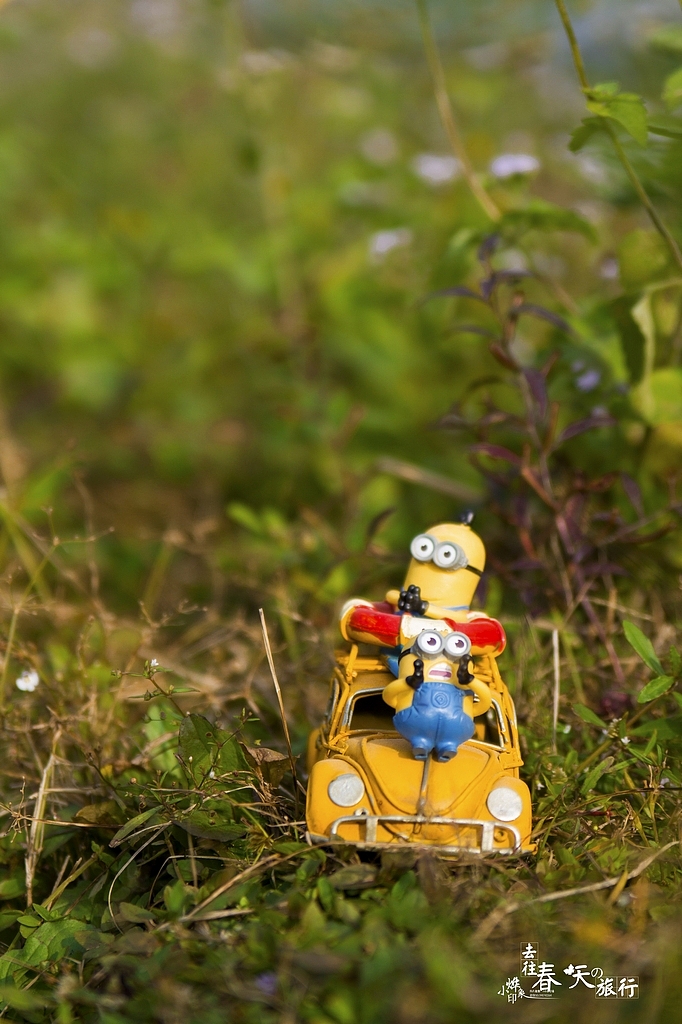 去往春天的旅行