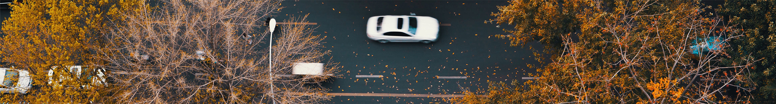 繁星小珂的个人主页（封面预览） - 主页封面设置 - 站酷设计师繁星小珂原创素材 - 站酷ZCOOL