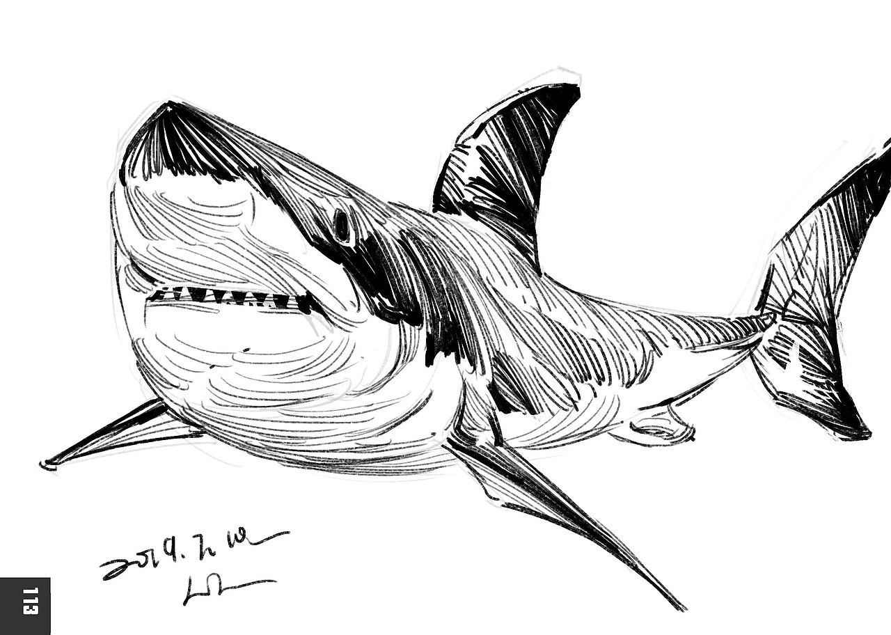 2019速写簿（图ZMTkyODg0OTY0） - 绘画 - 站酷设计师半岛酒徒原创素材 - 站酷ZCOOL