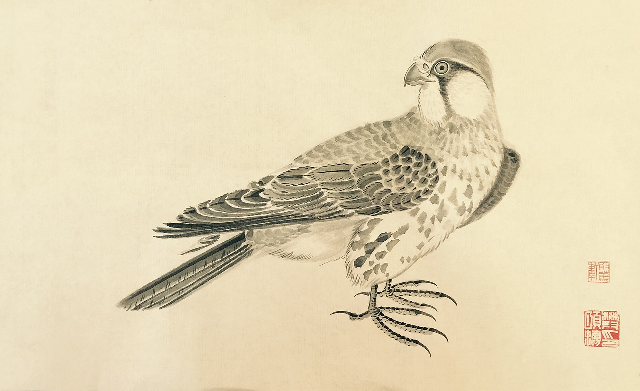 国画鹰隼