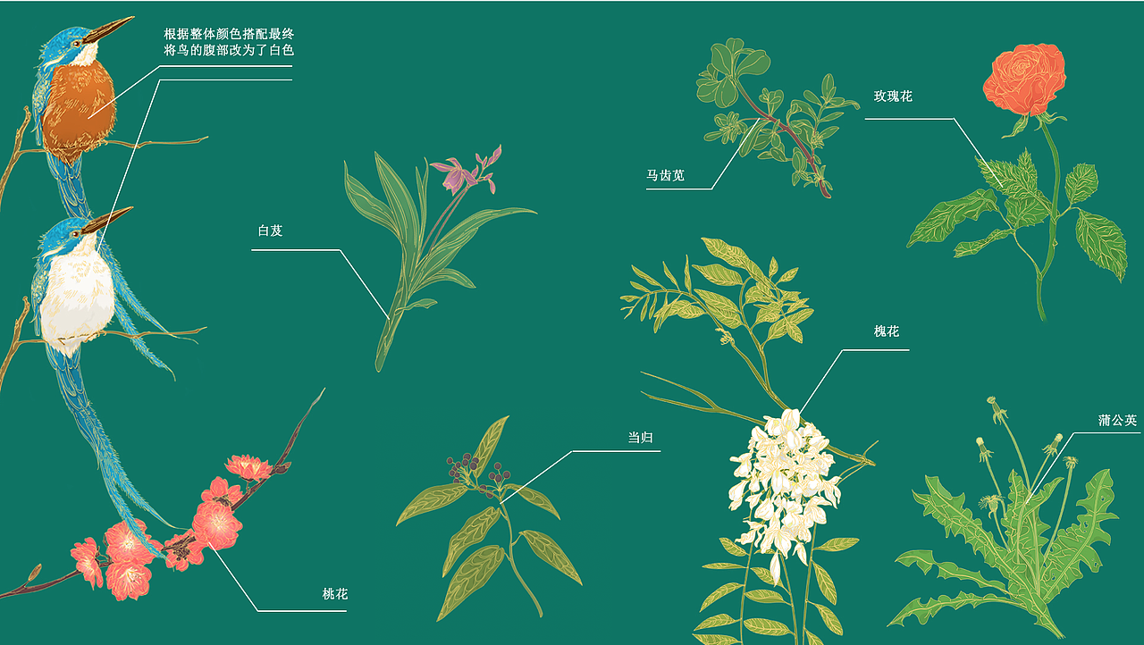 护肤品牌理肤时光包装插画绘制